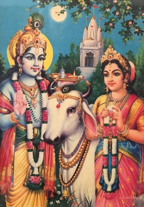 Radha Krishna and cow